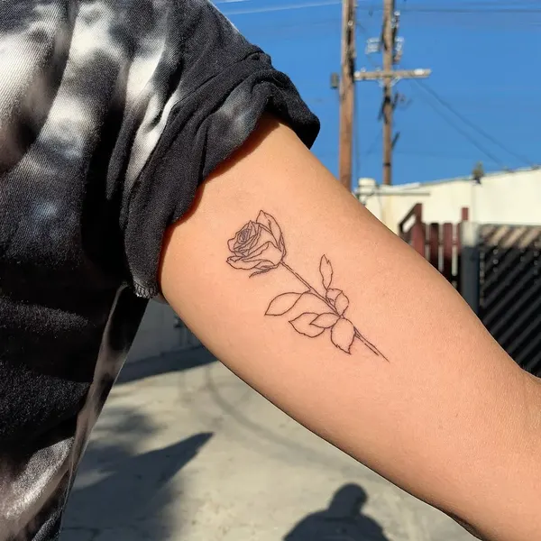 Flower, Rose
