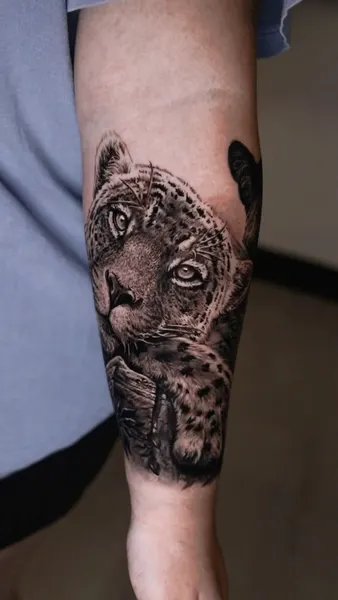Animal