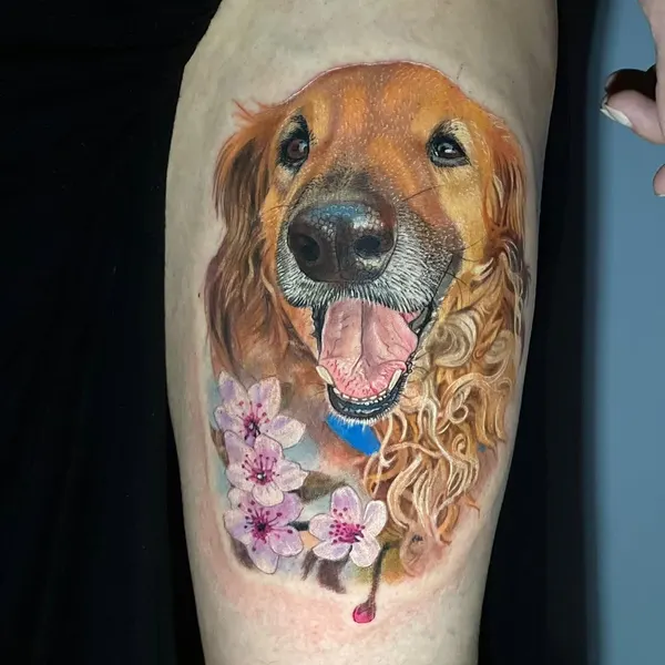 Animal