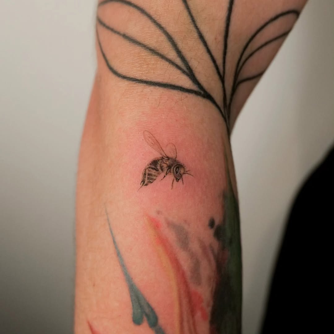 Animal, 벌