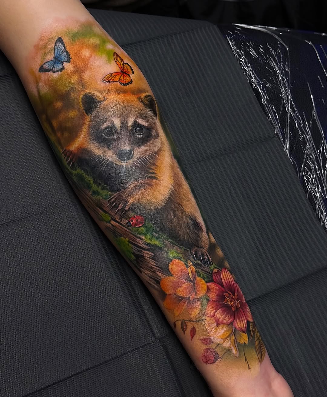 Animal, 너구리