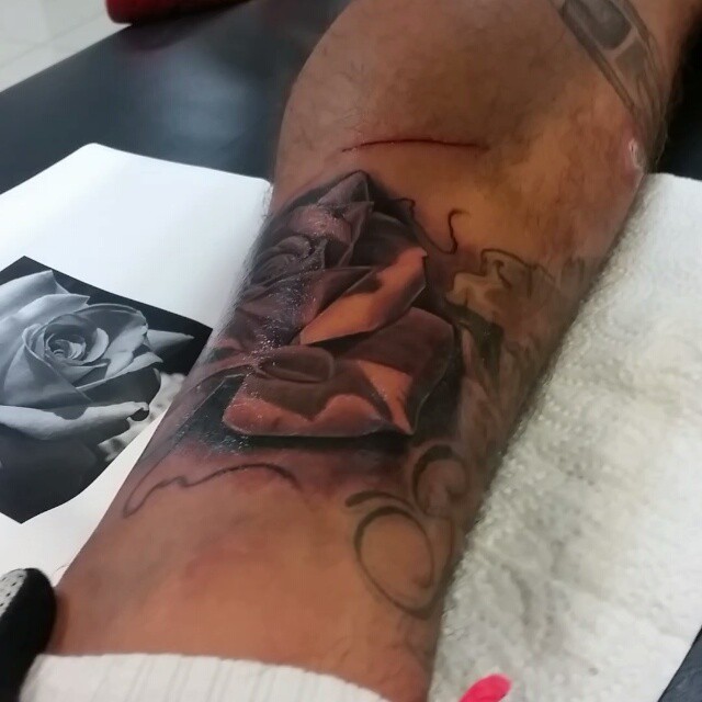 Flower, Rose