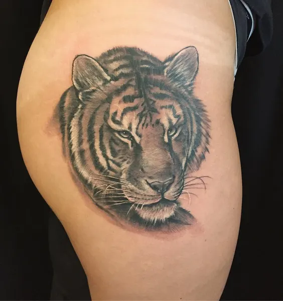 Tiger, 중국 호랑이
