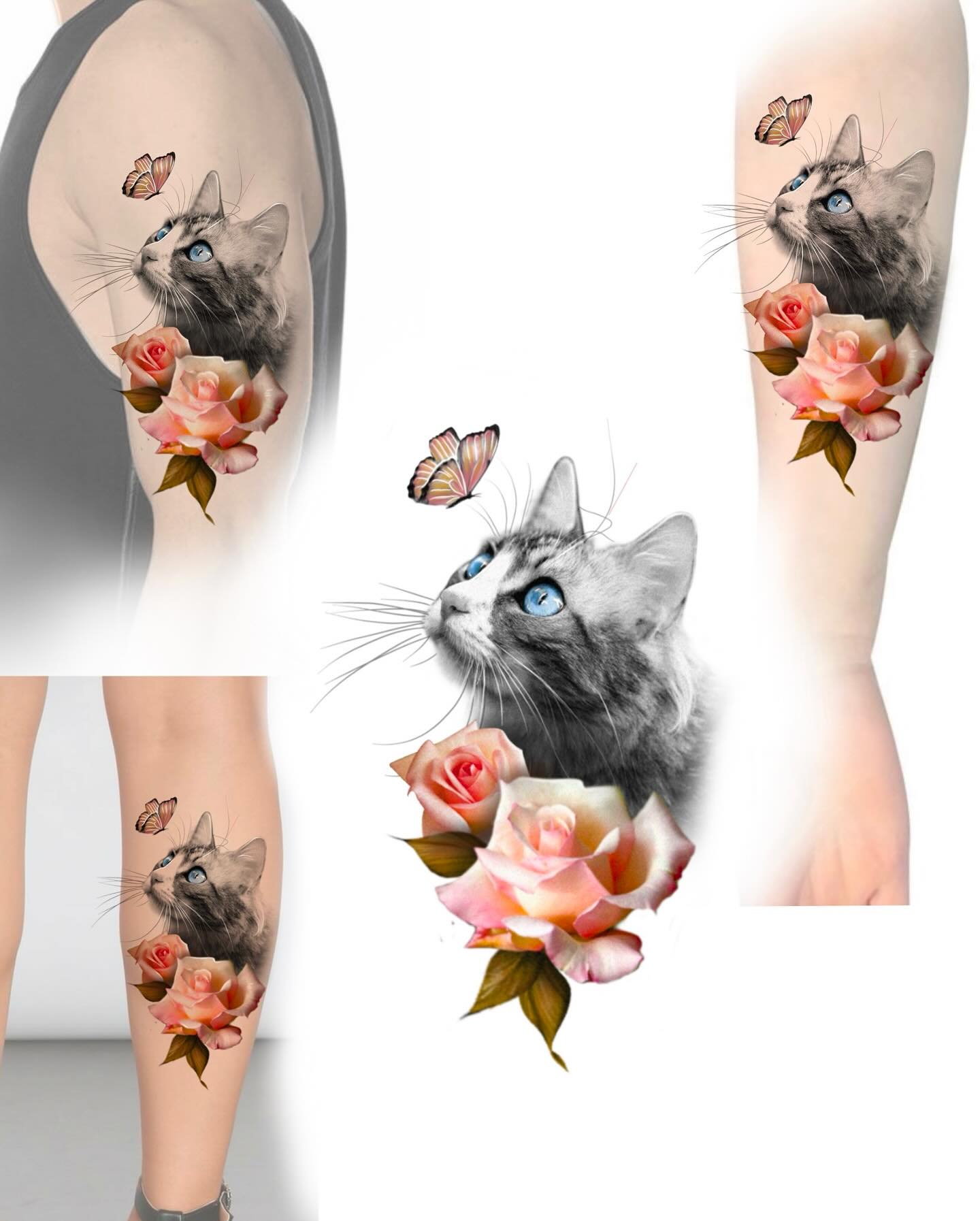 Flower, Rose, Nature
