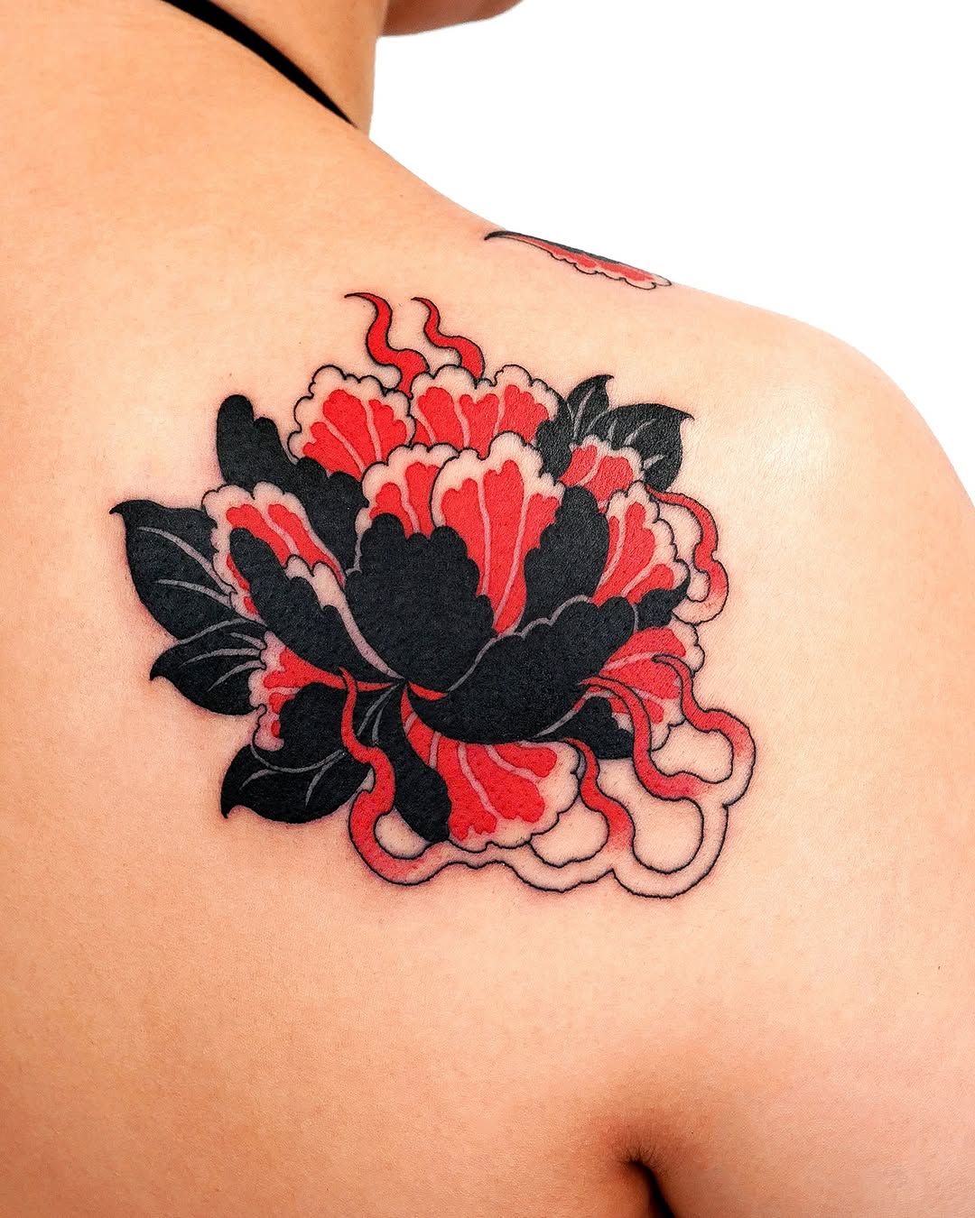 Flower, Nature, Rose