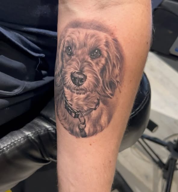 Animal