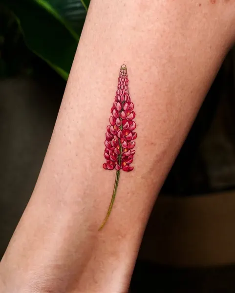 Flower, Rose, 양귀비