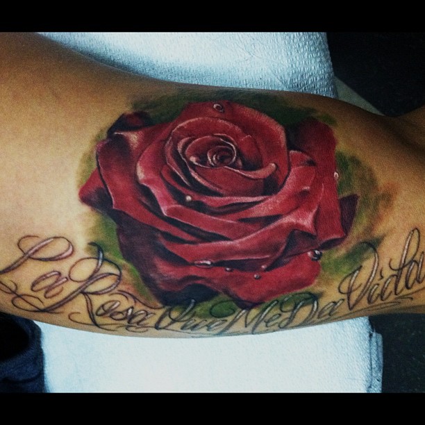 Flower, Rose, Lettering