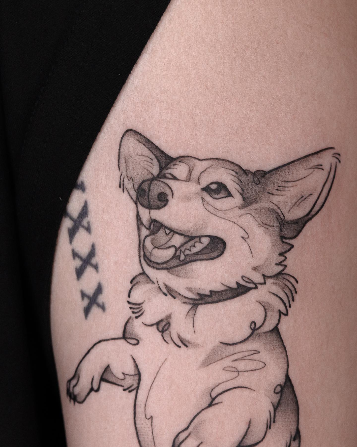 fawn.ink