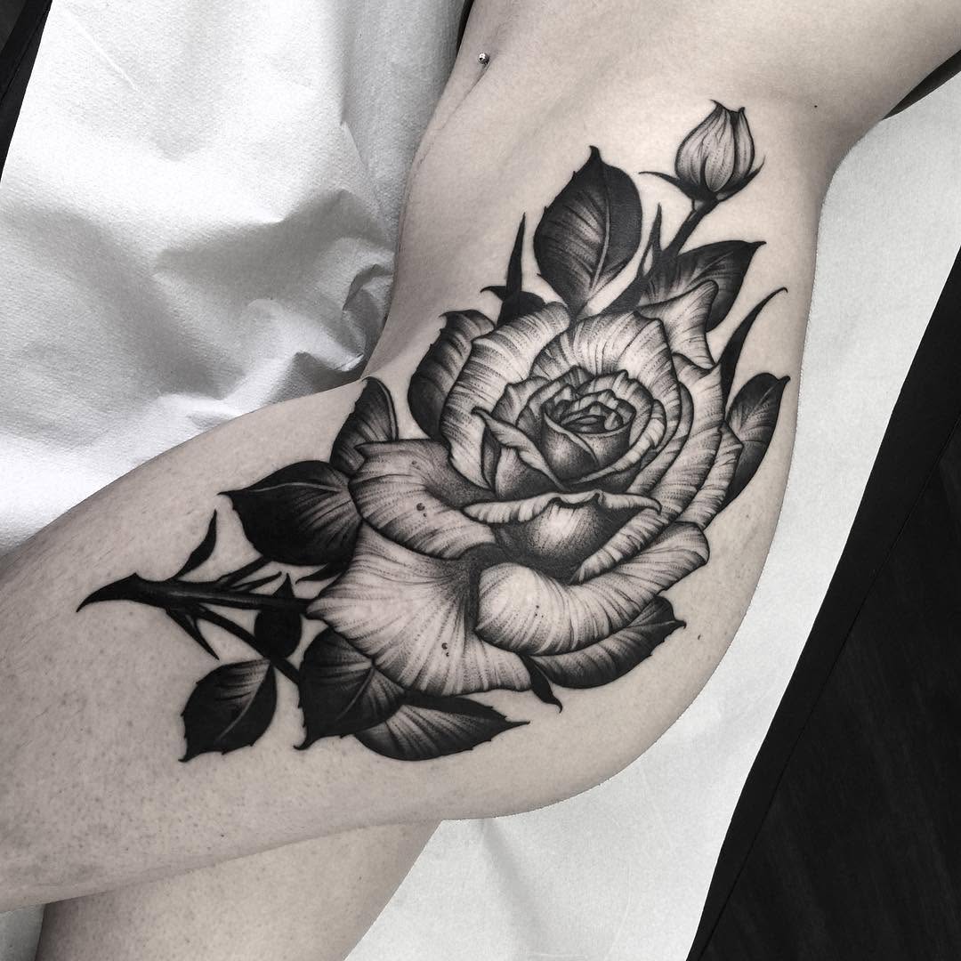 Flower, Rose