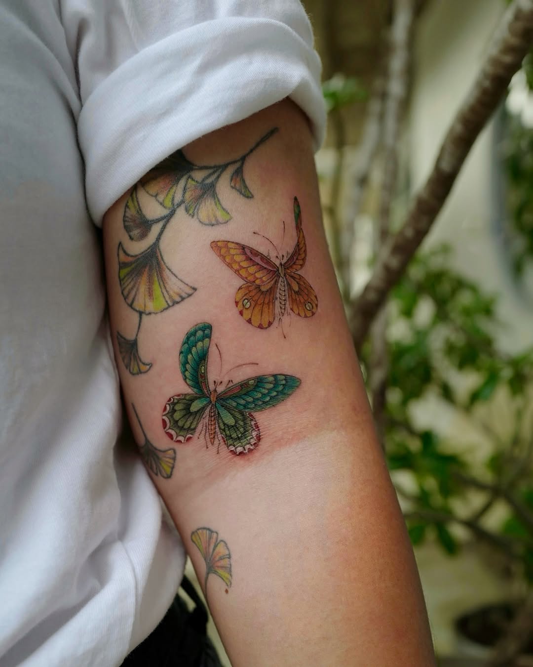 Animal, Nature
