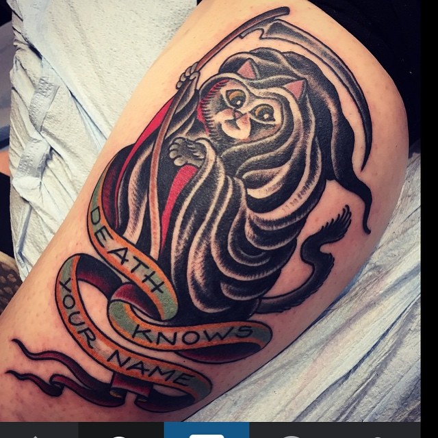 Animal
