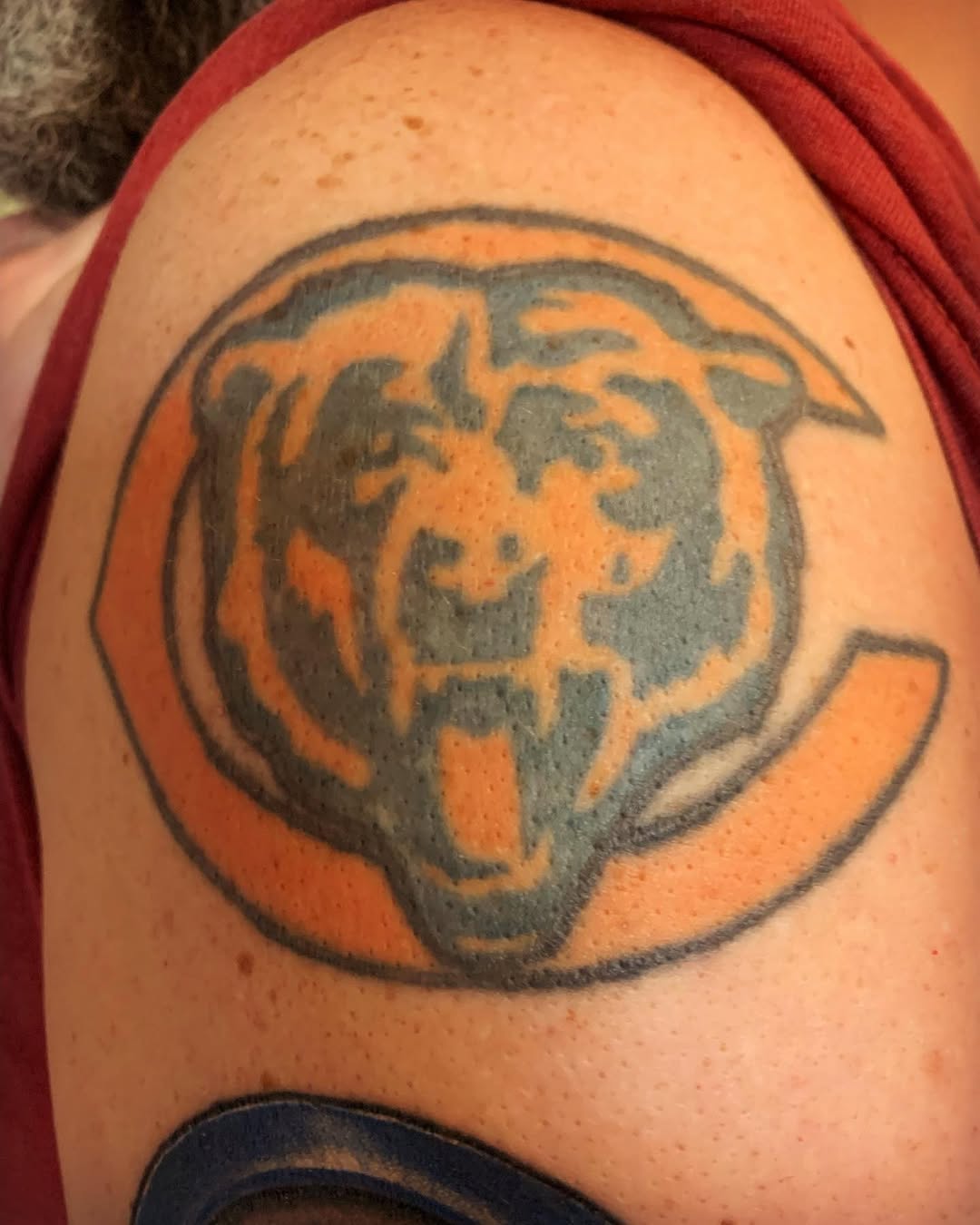 Tiger, Animal