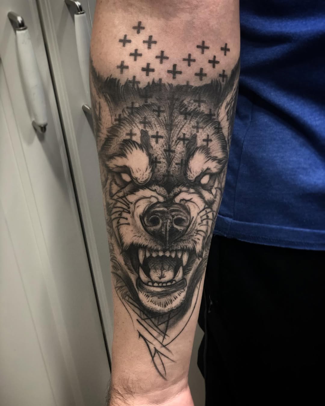 Animal, Tiger