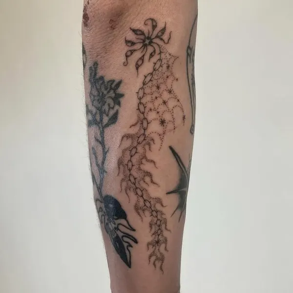 taticompton