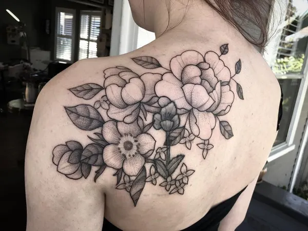 Flower, Rose, Nature