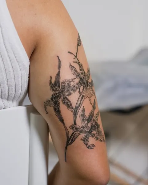 Flower, Rose