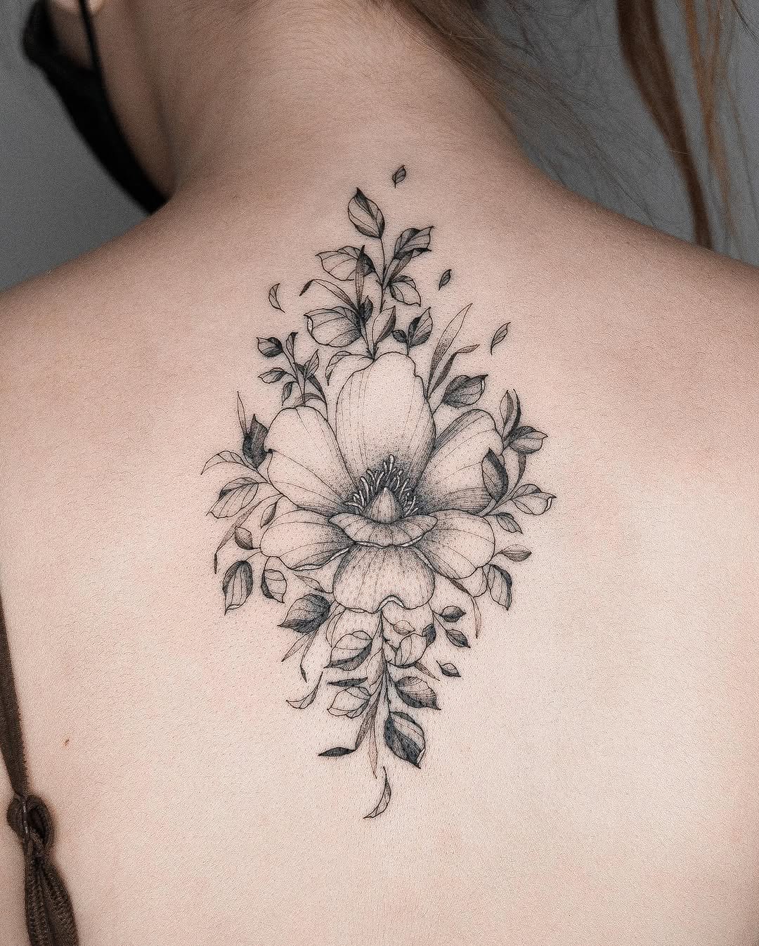 Flower, Nature, Rose