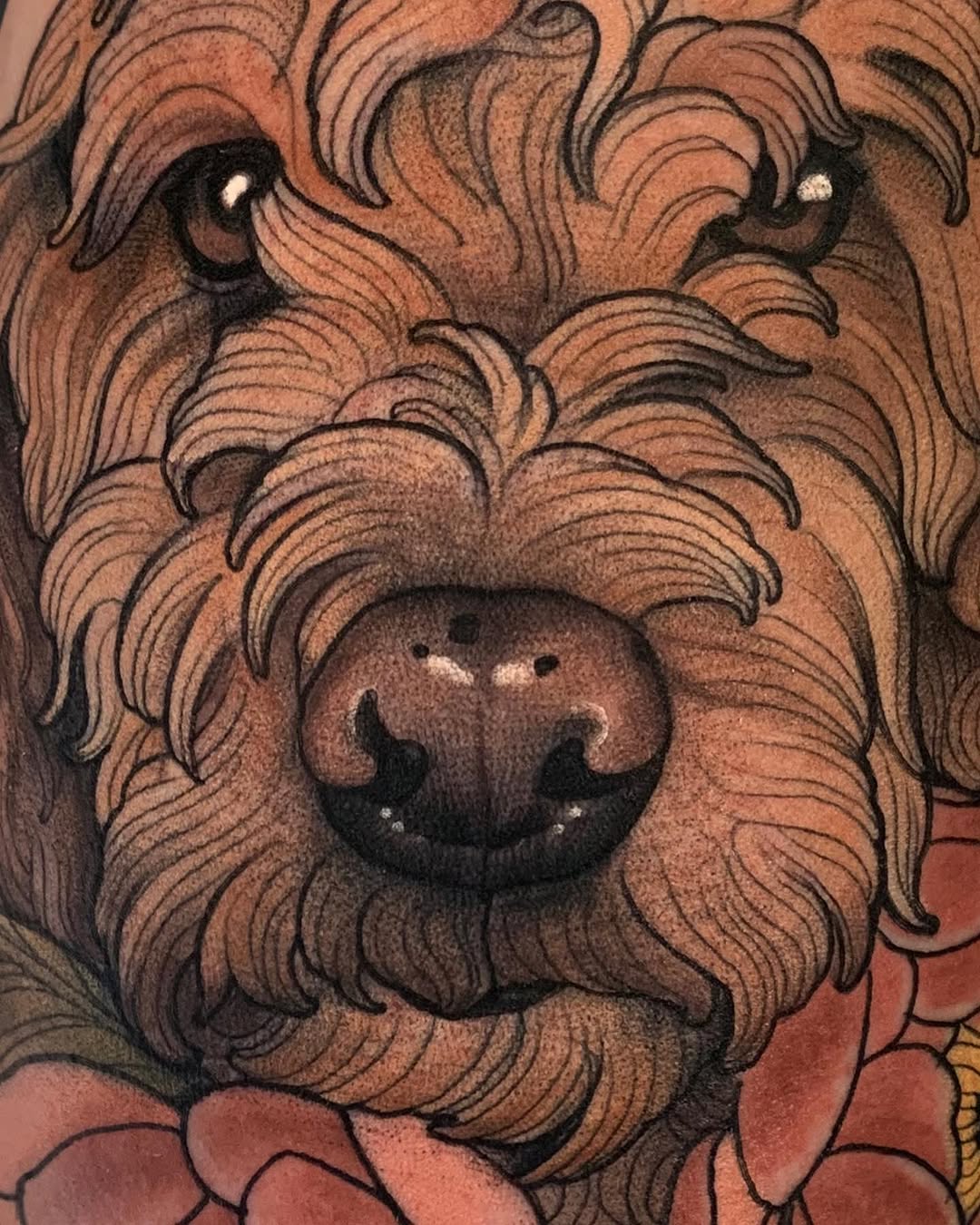 Animal