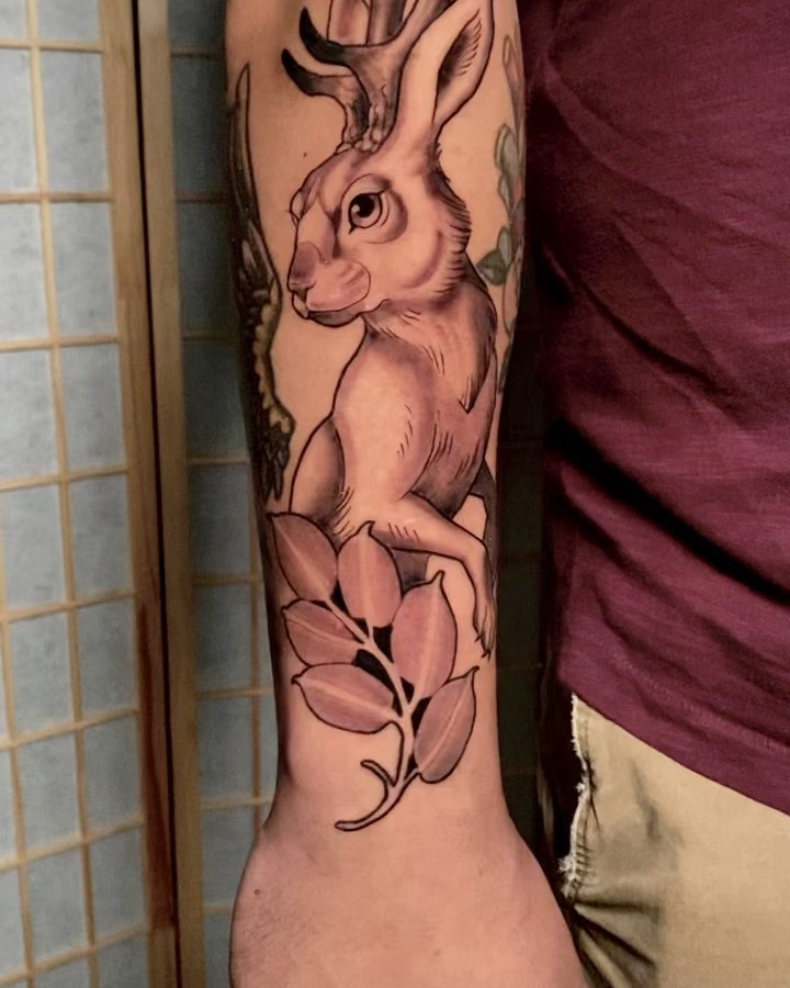 Animal