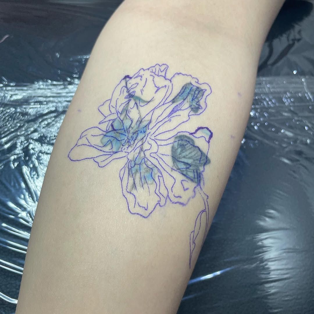 Flower, Rose