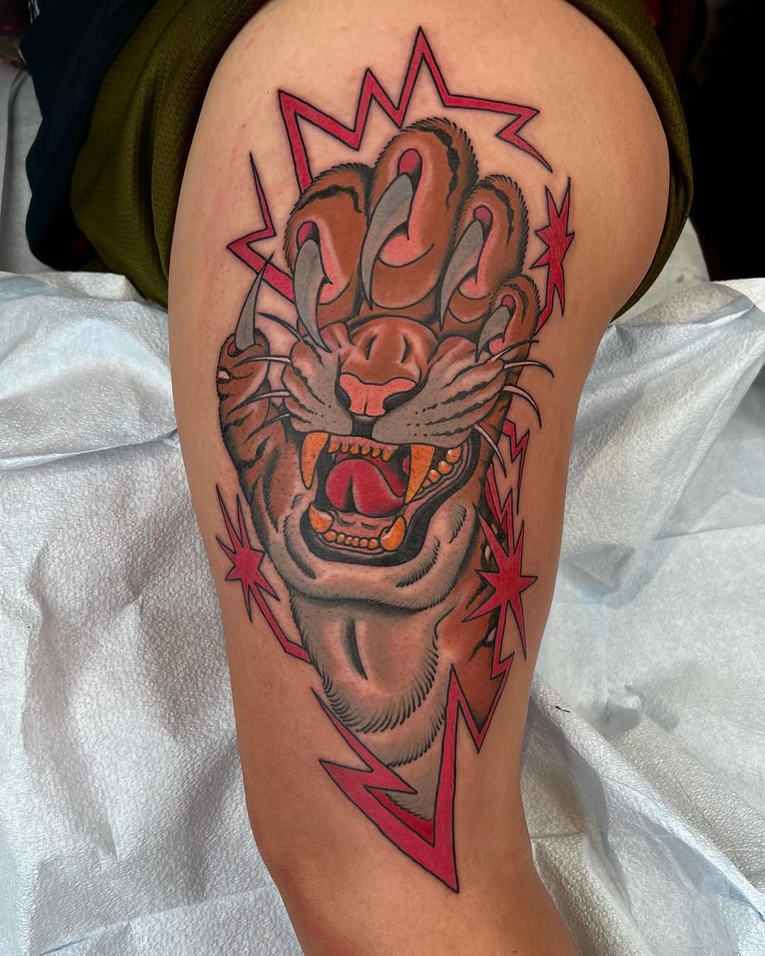 Tiger, Animal