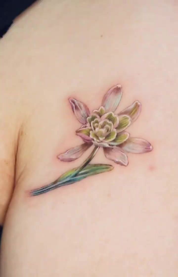 Flower