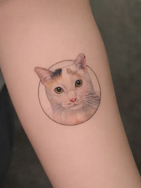 Animal
