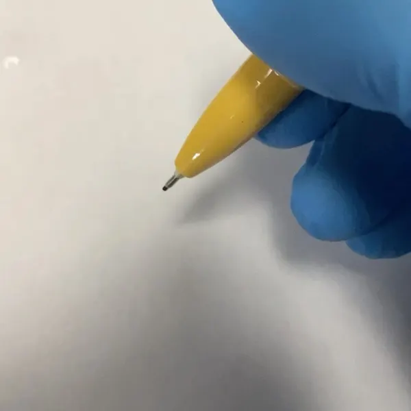 fullproof.bloom