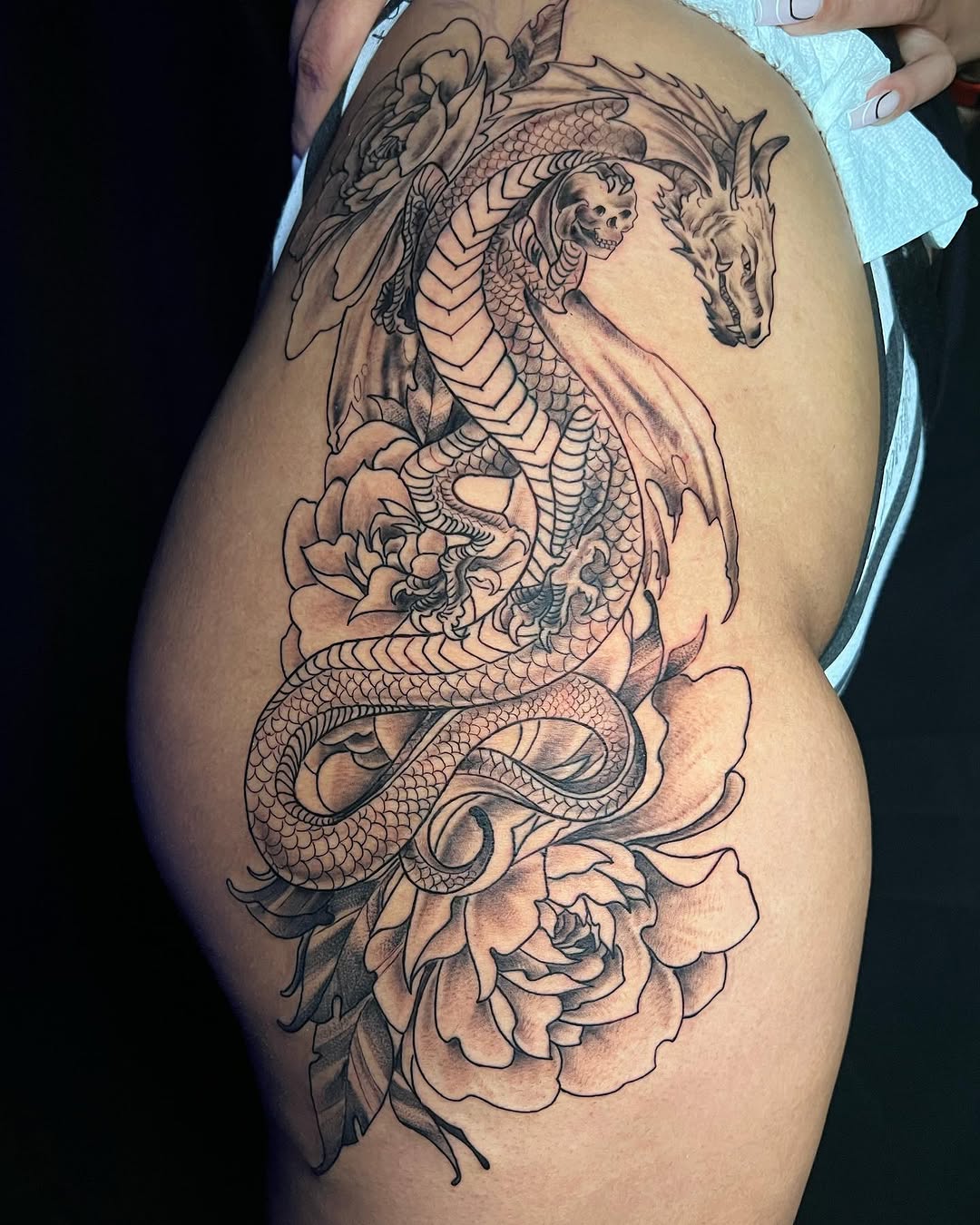 Dragon