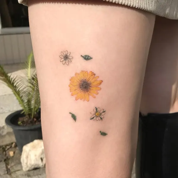 Flower, 해바라기, 데이지