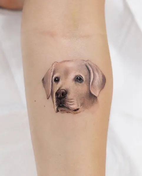 Animal