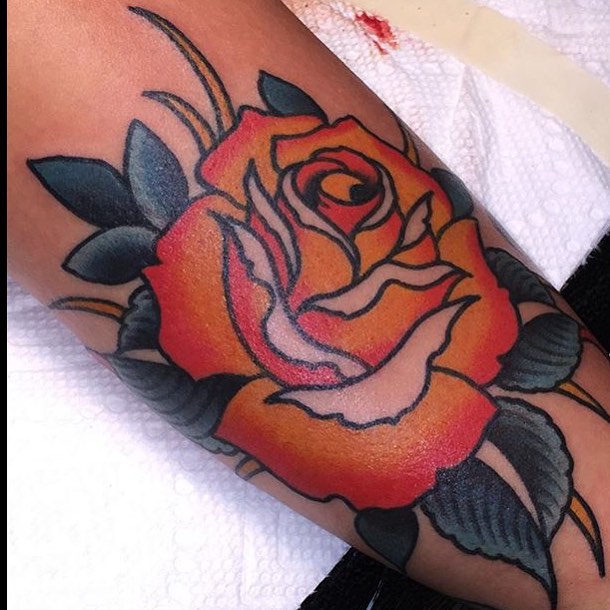 Flower, Rose