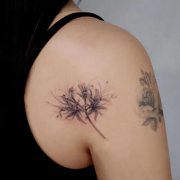 Flower, Rose