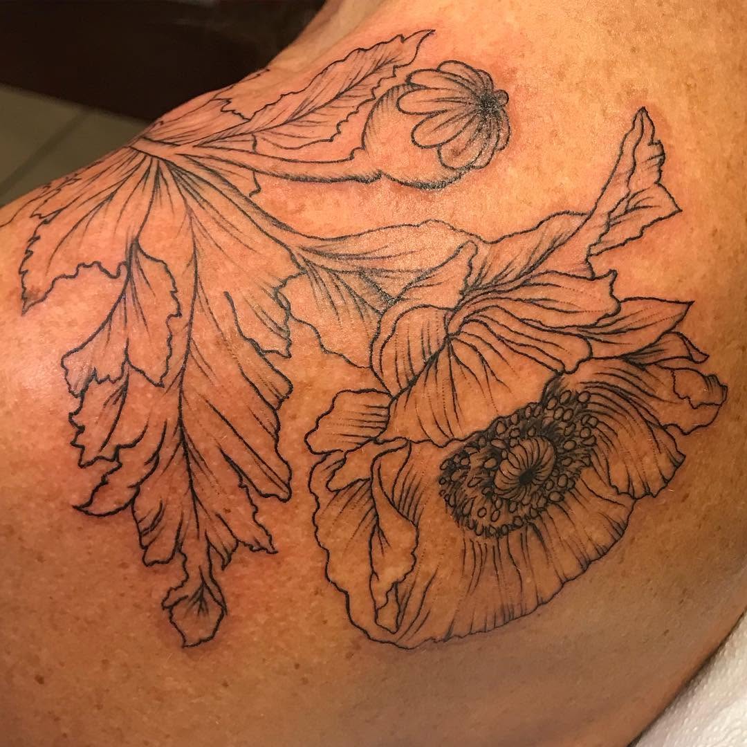 Flower, Rose