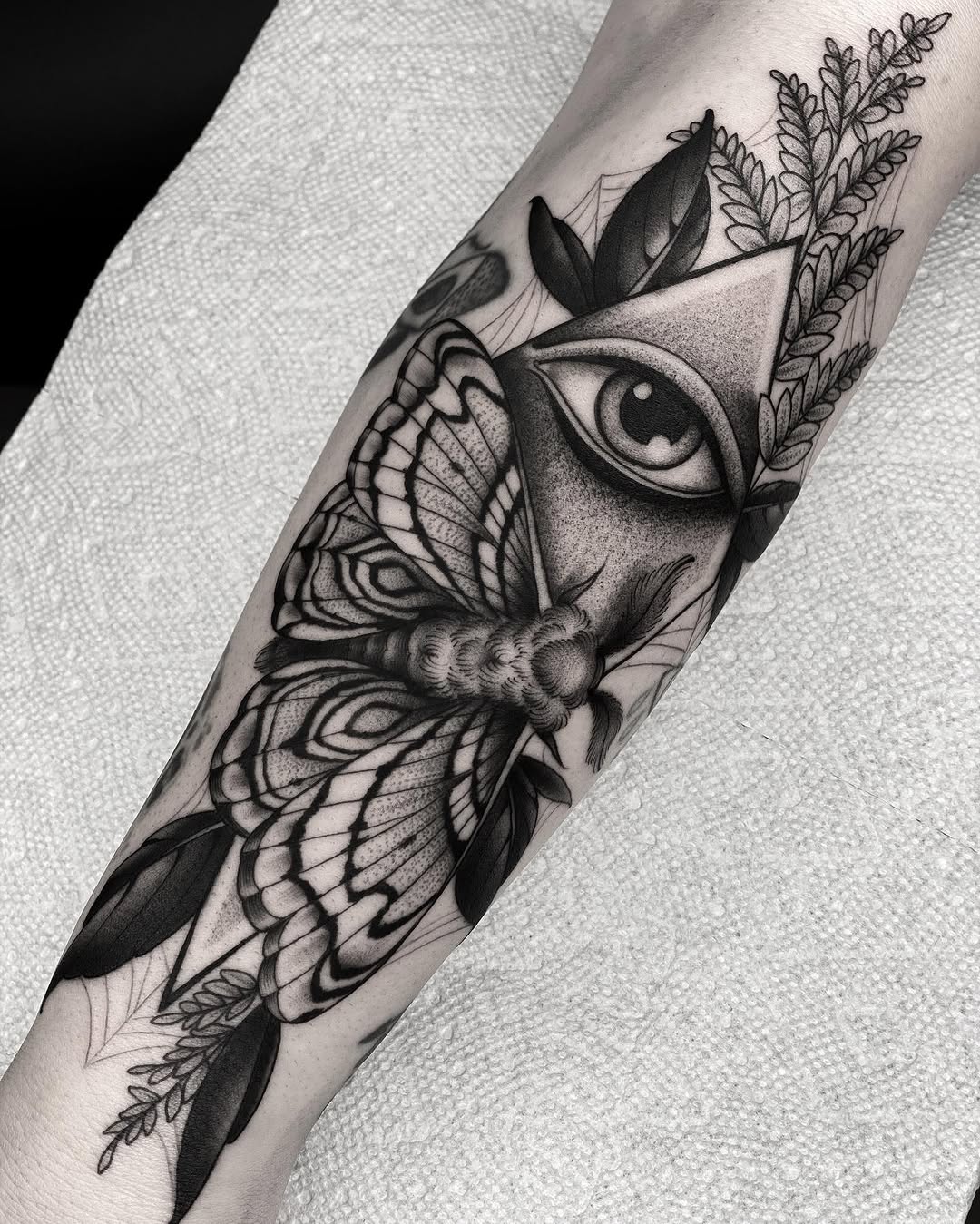 Animal, Nature, Flower