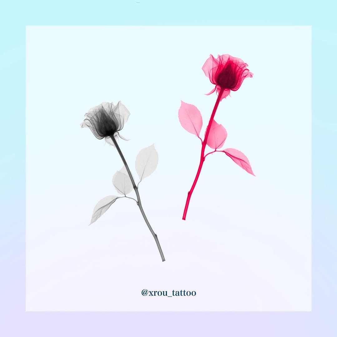 Flower, Rose