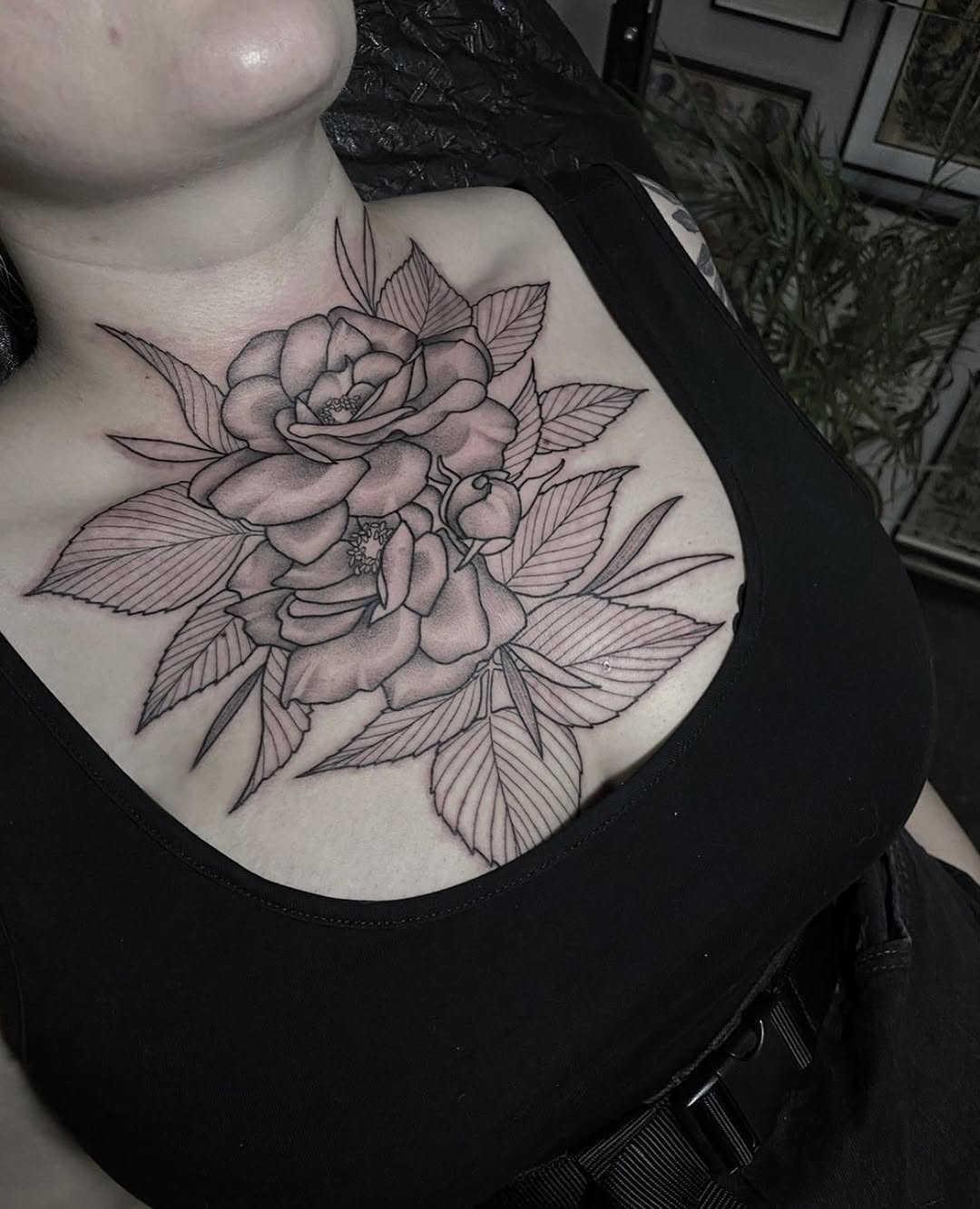 Flower, Nature, Rose