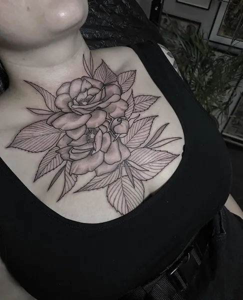 Flower, Rose, Nature