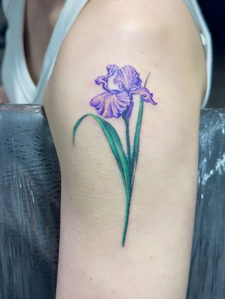 Flower, 아이리스, 백합, 난초, 튤립