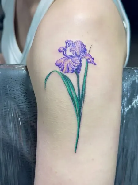 Flower, 아이리스, 백합, 난초, 튤립