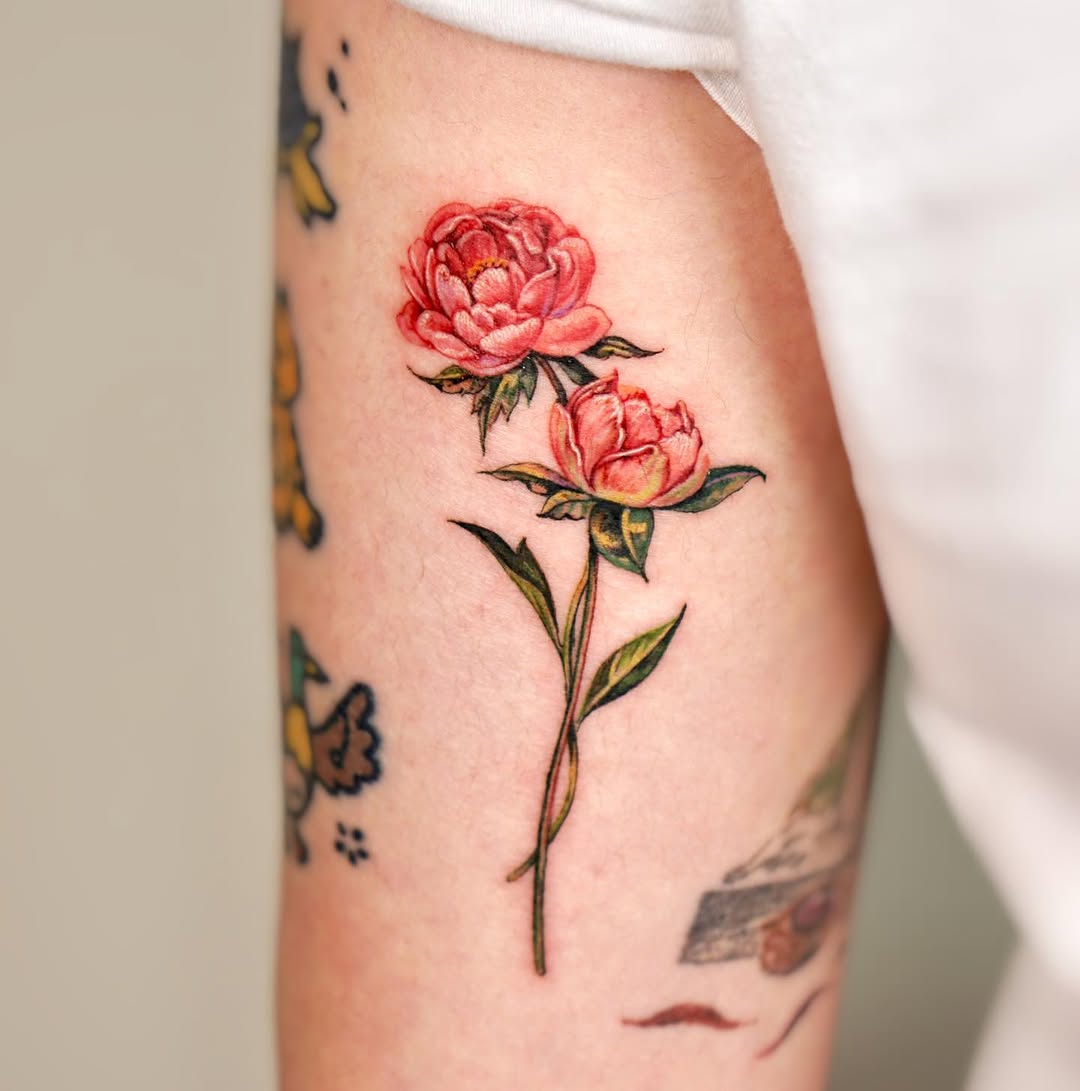 Flower, Rose