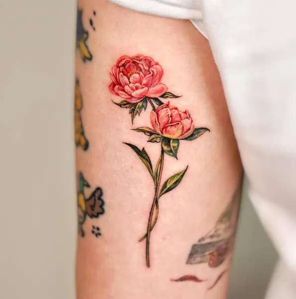 Flower, Rose