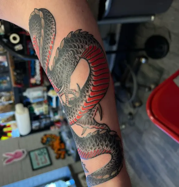 Dragon