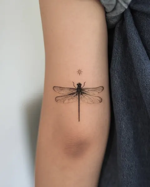 Animal, Nature