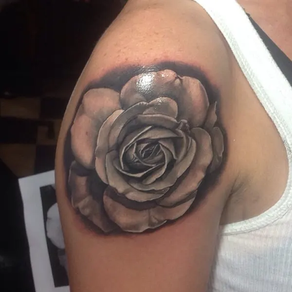 Flower, Nature, Rose