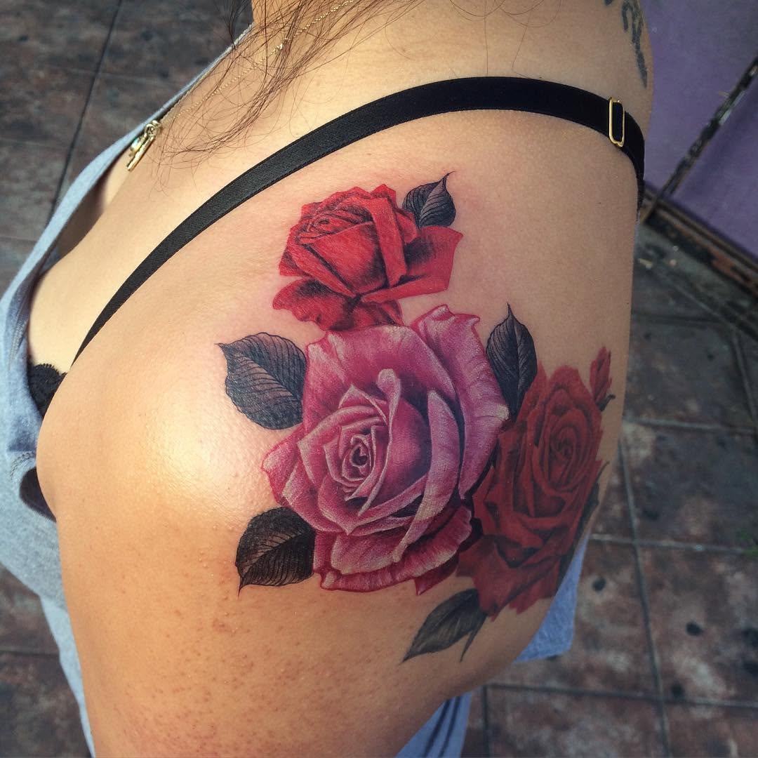 Flower, Nature, Rose