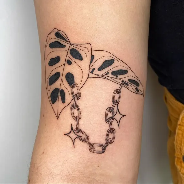 plantsnpokes