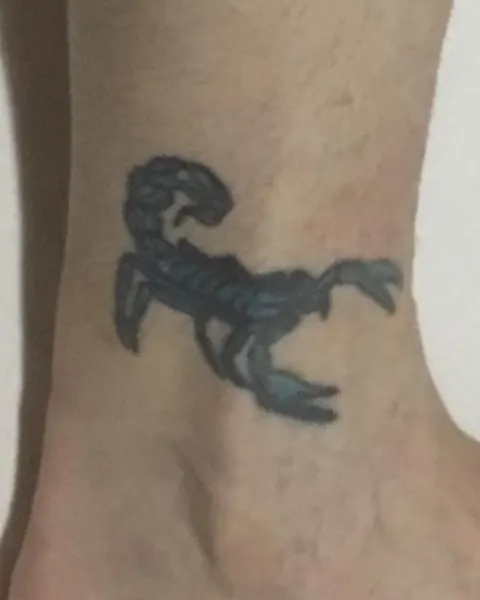 전갈, 전갈자리, 게, 랍스터