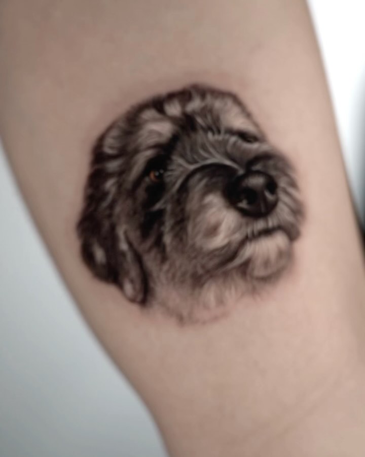 Animal